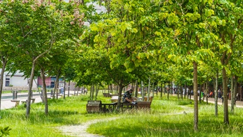 Taking a break at the benches along the Waterfront Tree Walk allows the visitors to clear their mind and enjoy the greenery.